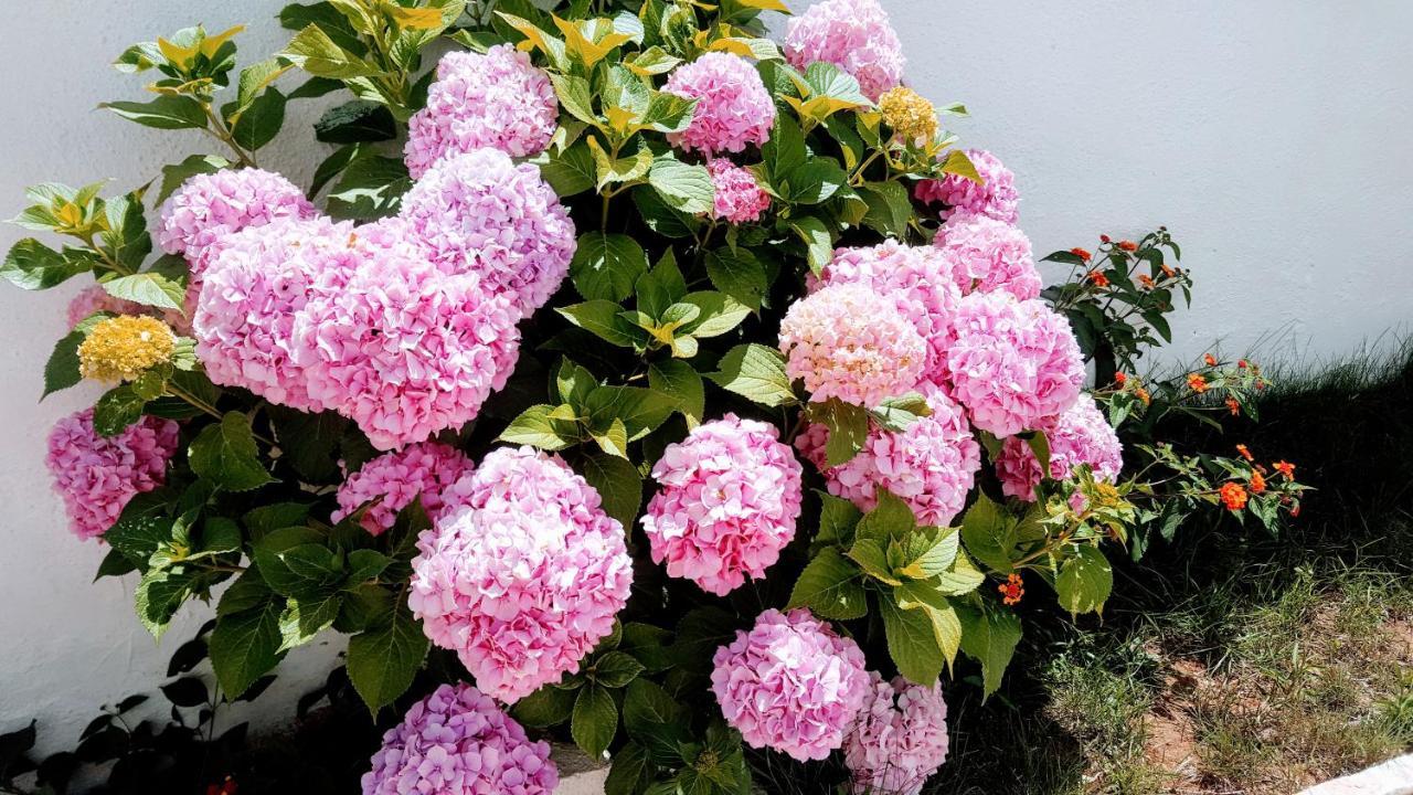 Gb Rooms كساميل المظهر الخارجي الصورة