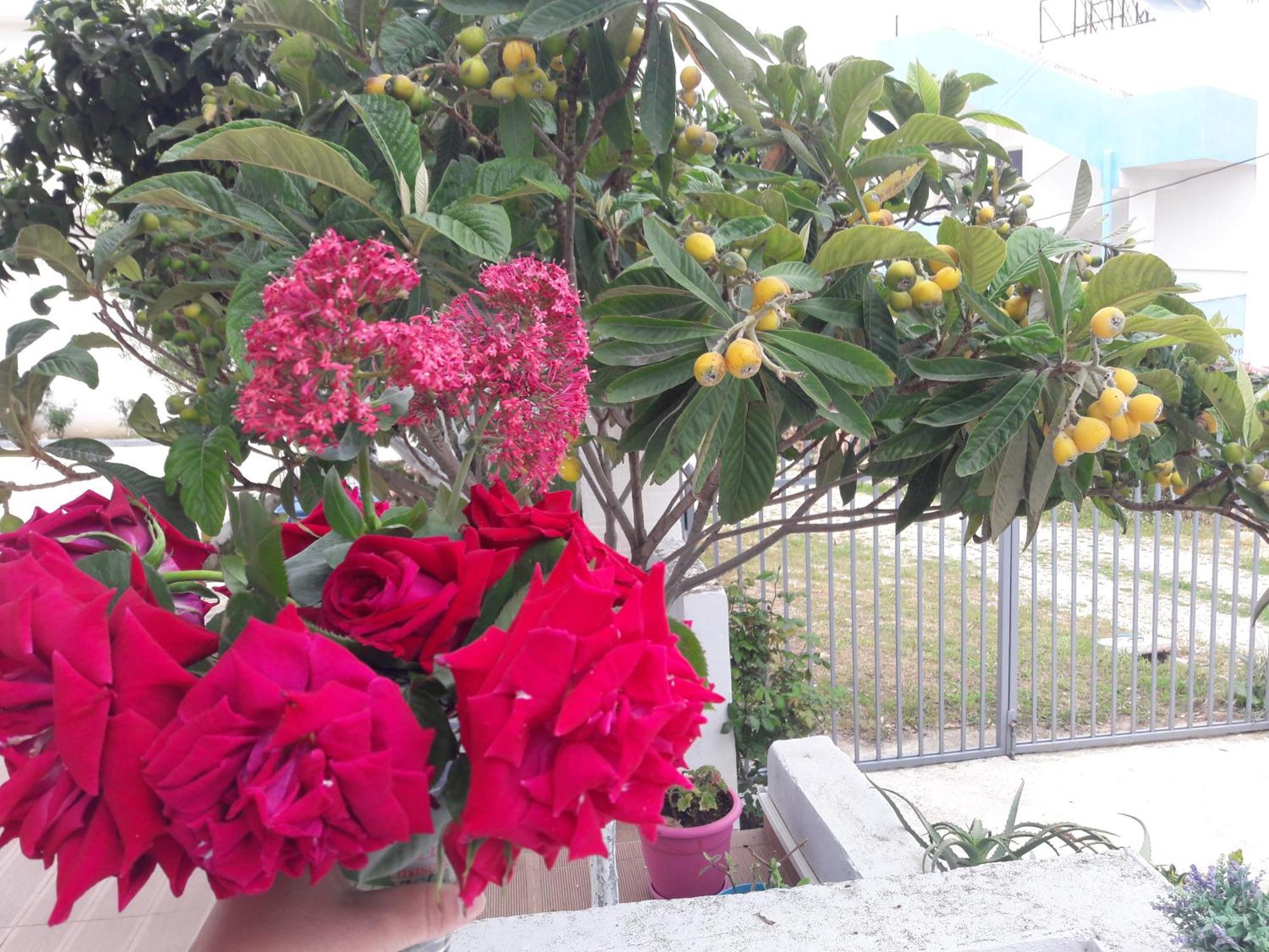 Gb Rooms كساميل المظهر الخارجي الصورة